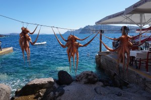 We passed on the freshly caught octopus.