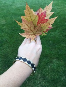 Beautiful Colorado autumn leaves and a couple of pieces from my September Rocks Box!