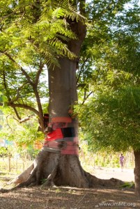 Photo credit:  Jensen Sutta